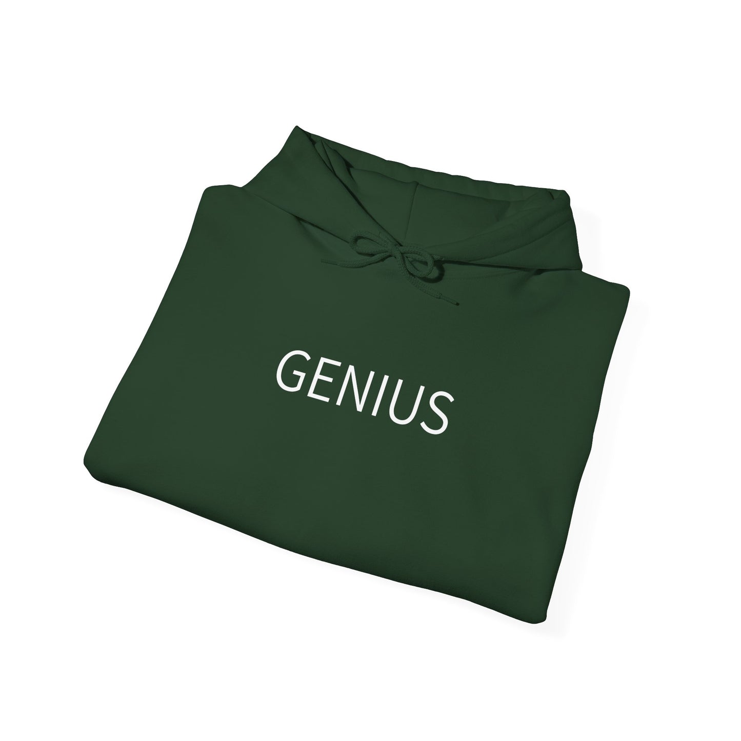 Genius Unisex Heavy Blend™ Hooded Sweatshirt