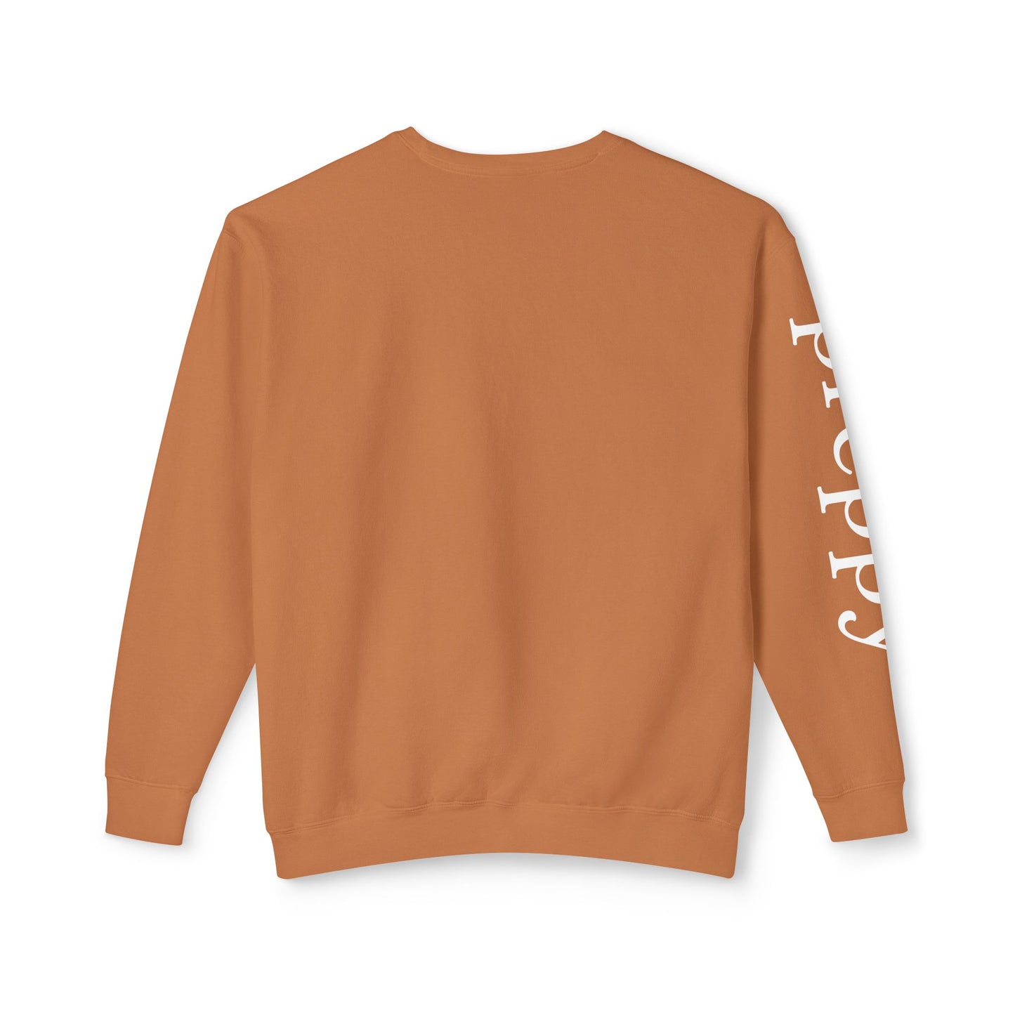 Preppy Unisex Lightweight Crewneck Sweatshirt